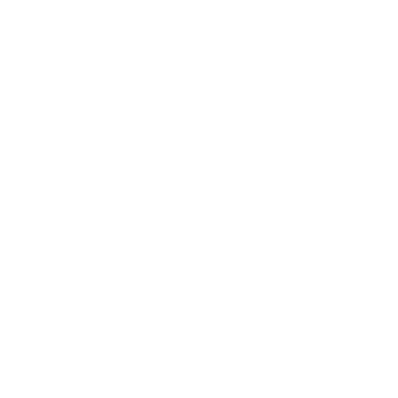 Dolphin Beach Hotel Logo